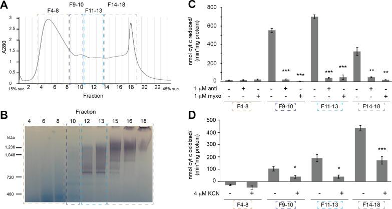 https://cdn.ncbi.nlm.nih.gov/pmc/blobs/8ab2/7815315/56130a5c38a3/elife-62047-fig1-figsupp4.jpg