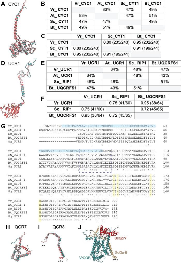 https://cdn.ncbi.nlm.nih.gov/pmc/blobs/8ab2/7815315/bcb42fa91caf/elife-62047-fig2-figsupp3.jpg