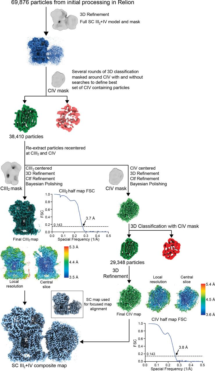 https://cdn.ncbi.nlm.nih.gov/pmc/blobs/8ab2/7815315/f684f885f00b/elife-62047-fig1-figsupp2.jpg