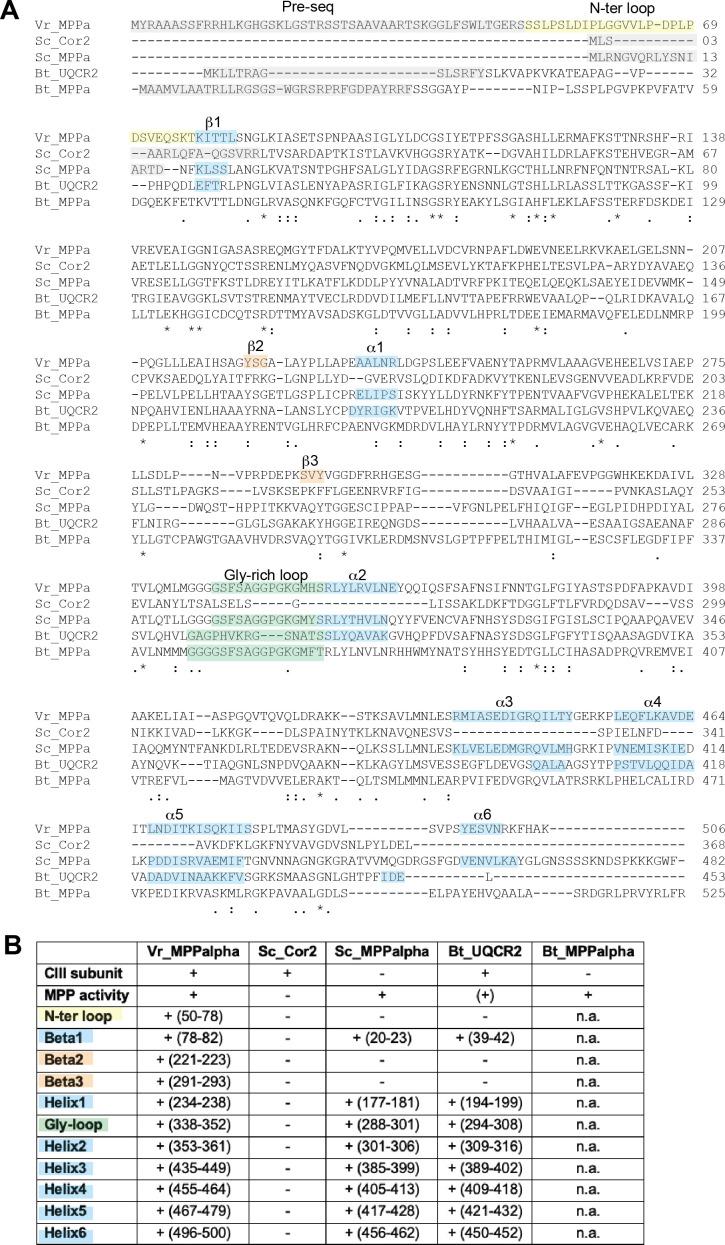 https://cdn.ncbi.nlm.nih.gov/pmc/blobs/8ab2/7815315/ff9e25f237a8/elife-62047-fig3-figsupp2.jpg