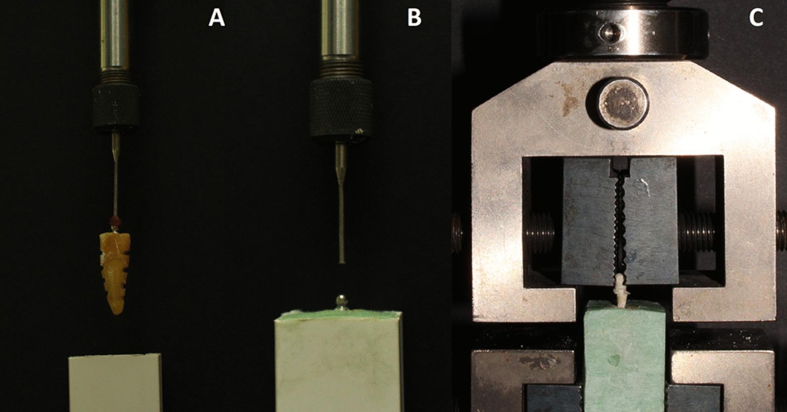 https://cdn.ncbi.nlm.nih.gov/pmc/blobs/8ab2/9229525/045b7e607954/12903_2022_2282_Fig4_HTML.jpg