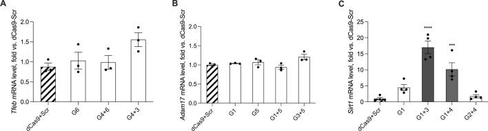 https://cdn.ncbi.nlm.nih.gov/pmc/blobs/8ab3/11799263/45ef65ade7ce/fbioe-13-1336313-g005.jpg