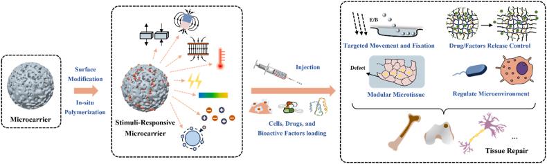https://cdn.ncbi.nlm.nih.gov/pmc/blobs/8ab5/11130597/3cbf471d0294/gr1.jpg