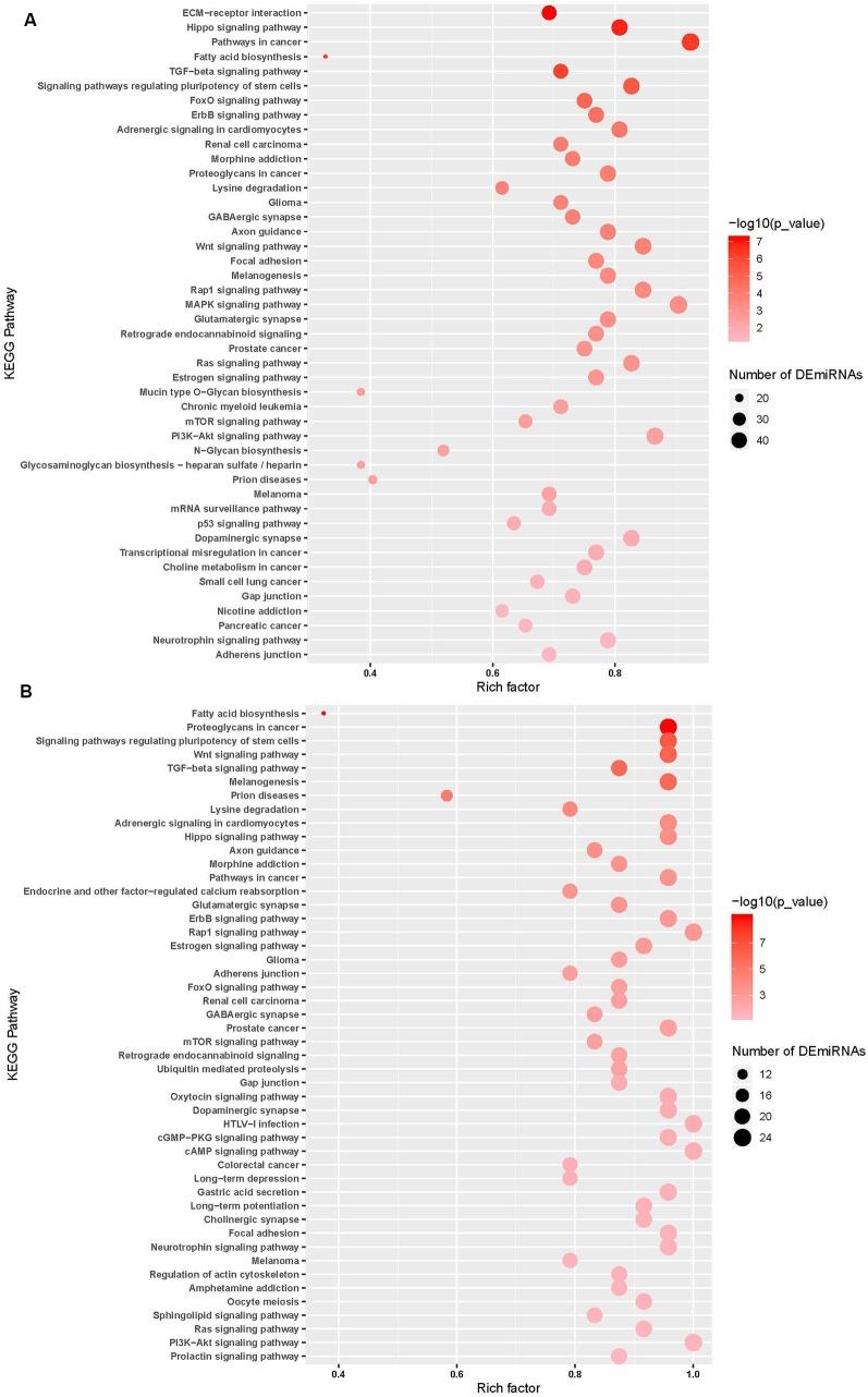 https://cdn.ncbi.nlm.nih.gov/pmc/blobs/8ab5/7235295/2499ff9372ef/fncel-14-00117-g0005.jpg
