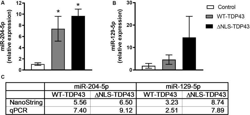 https://cdn.ncbi.nlm.nih.gov/pmc/blobs/8ab5/7235295/4776515bcc09/fncel-14-00117-g0004.jpg