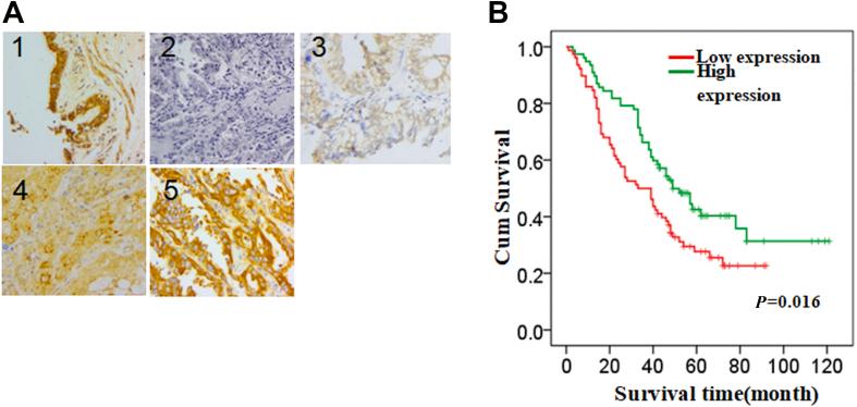 https://cdn.ncbi.nlm.nih.gov/pmc/blobs/8ab7/8093570/3471763e37f8/gr1.jpg