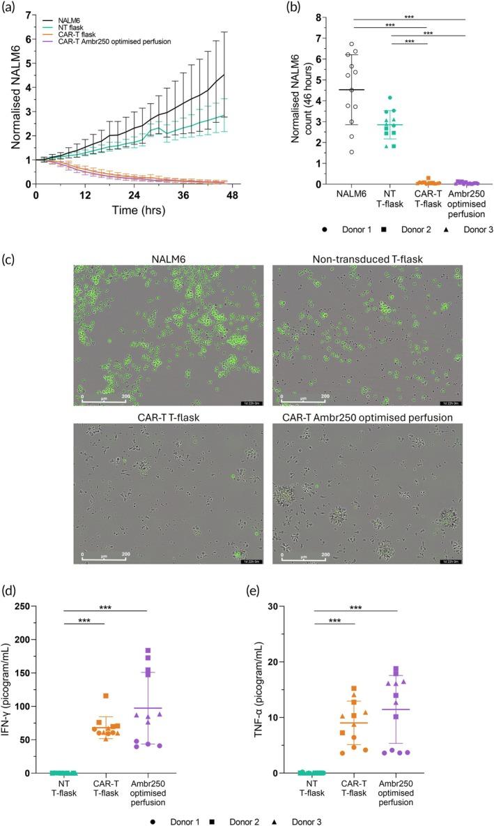 https://cdn.ncbi.nlm.nih.gov/pmc/blobs/8ab8/12079453/90b33ea2ac81/BTM2-10-e10753-g005.jpg