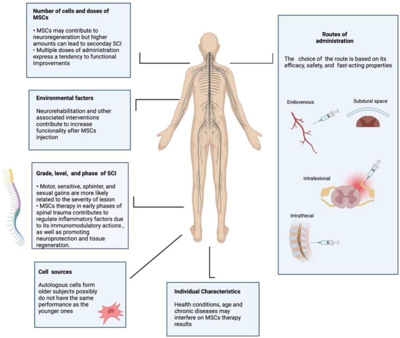 https://cdn.ncbi.nlm.nih.gov/pmc/blobs/8ab9/8946989/cd5d3c5d0f4b/cells-11-01019-g004.jpg
