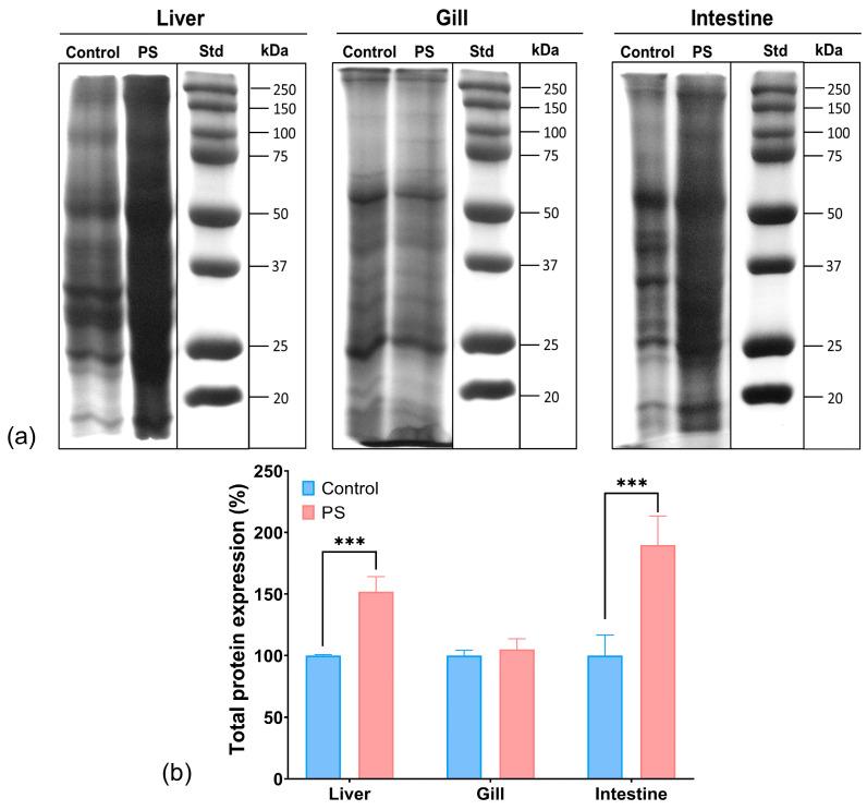 https://cdn.ncbi.nlm.nih.gov/pmc/blobs/8abb/12031100/49220f27a3fe/toxics-13-00246-g007.jpg