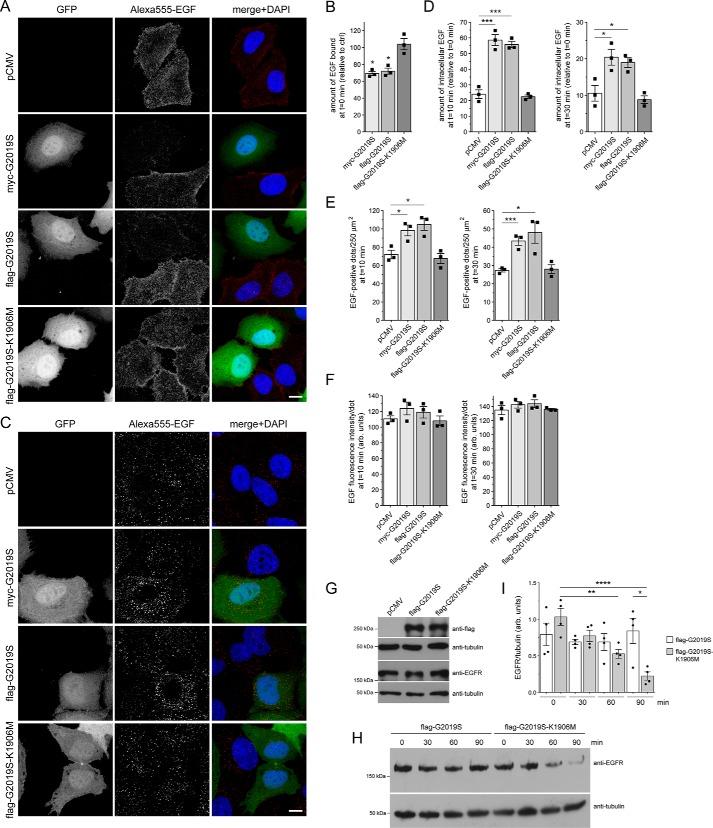 https://cdn.ncbi.nlm.nih.gov/pmc/blobs/8abb/6442034/6199094d1cba/zbc0131903090001.jpg