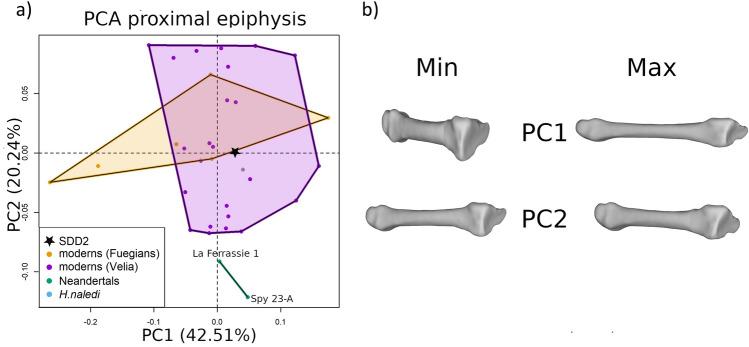 https://cdn.ncbi.nlm.nih.gov/pmc/blobs/8abc/10933272/4526e2488d63/41598_2024_55045_Fig5_HTML.jpg