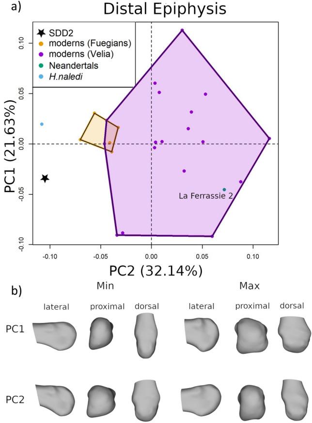 https://cdn.ncbi.nlm.nih.gov/pmc/blobs/8abc/10933272/4f818b3ca5a0/41598_2024_55045_Fig6_HTML.jpg