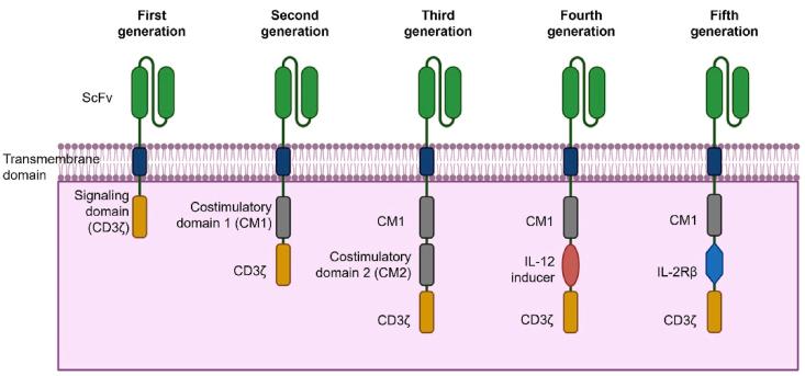 https://cdn.ncbi.nlm.nih.gov/pmc/blobs/8abe/11925584/5d3d71df40d6/gr4.jpg