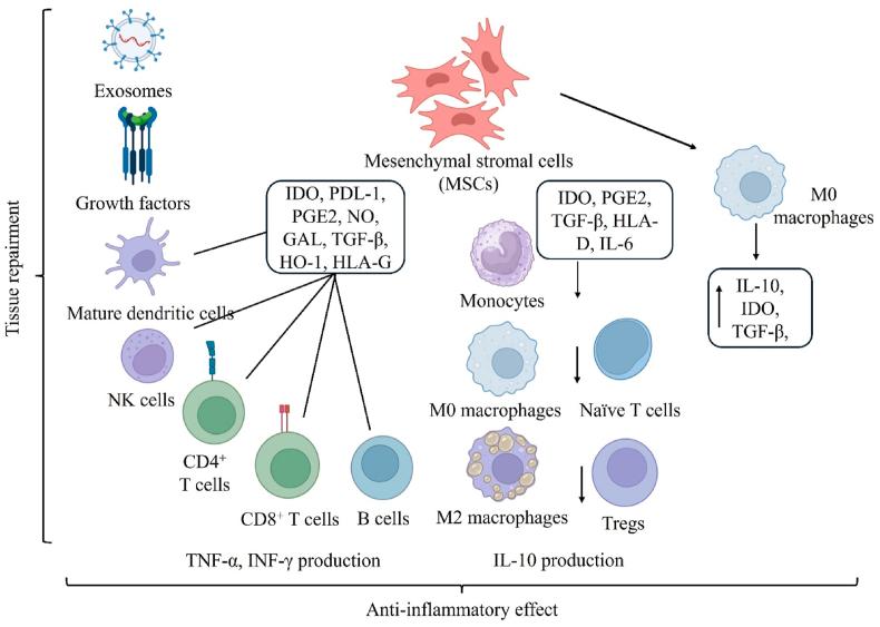 https://cdn.ncbi.nlm.nih.gov/pmc/blobs/8abe/11925584/d10352fd7ae0/gr2.jpg
