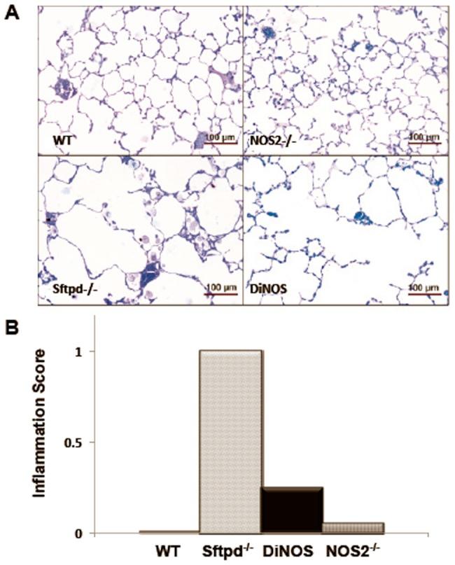 https://cdn.ncbi.nlm.nih.gov/pmc/blobs/8abf/3897517/2a8910ac6e59/pone.0085722.g002.jpg