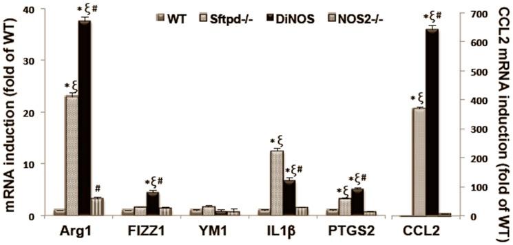 https://cdn.ncbi.nlm.nih.gov/pmc/blobs/8abf/3897517/c7a3263d7270/pone.0085722.g008.jpg