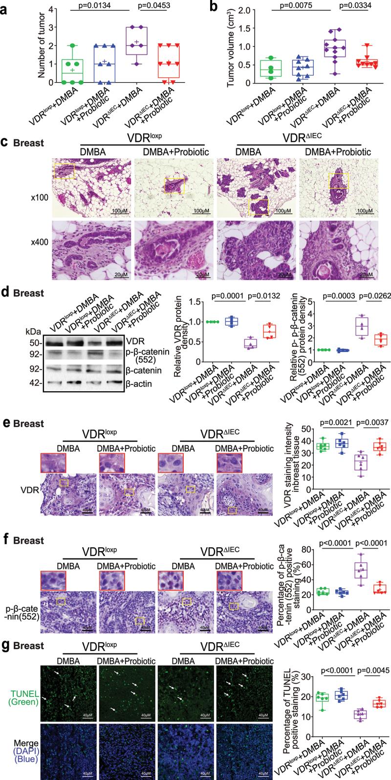 https://cdn.ncbi.nlm.nih.gov/pmc/blobs/8ac0/10120454/496fc763a018/KGMI_A_2202593_F0007_OC.jpg