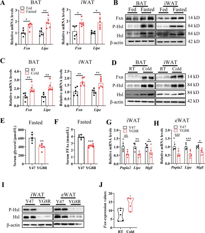 https://cdn.ncbi.nlm.nih.gov/pmc/blobs/8ac0/11350209/1452ec9343ed/41598_2024_71099_Fig2_HTML.jpg