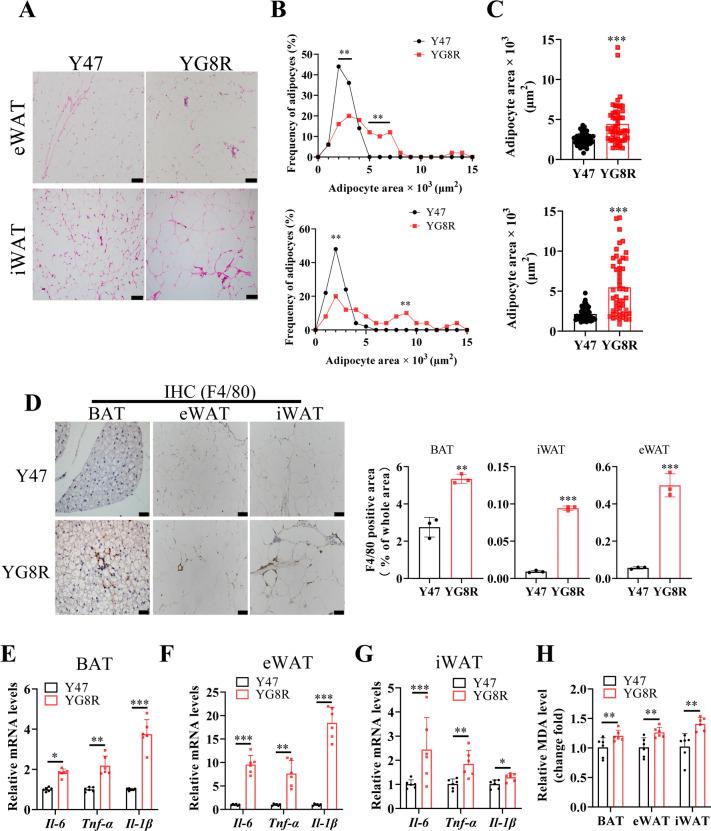 https://cdn.ncbi.nlm.nih.gov/pmc/blobs/8ac0/11350209/de1583967ff0/41598_2024_71099_Fig3_HTML.jpg