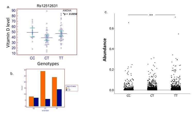https://cdn.ncbi.nlm.nih.gov/pmc/blobs/8ac2/8869474/6c91bdf5401f/biomedicines-10-00278-g005.jpg