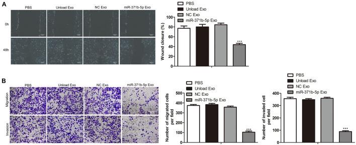 https://cdn.ncbi.nlm.nih.gov/pmc/blobs/8ac3/8520920/6a389b194e02/fcell-09-750171-g004.jpg