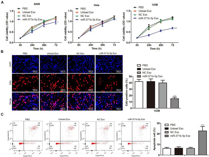 https://cdn.ncbi.nlm.nih.gov/pmc/blobs/8ac3/8520920/6af036e4393a/fcell-09-750171-g003.jpg