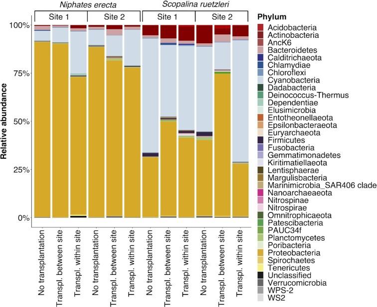 https://cdn.ncbi.nlm.nih.gov/pmc/blobs/8ac4/8378938/022a37be5311/fiab115fig5.jpg