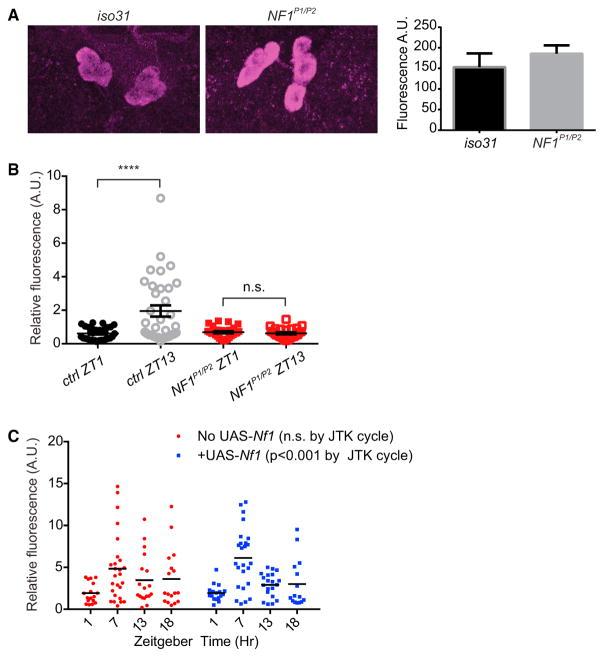 https://cdn.ncbi.nlm.nih.gov/pmc/blobs/8ac7/5898822/4ff83e85f000/nihms957839f2.jpg