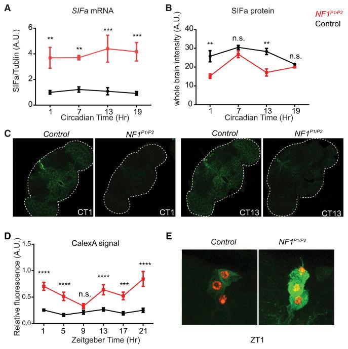 https://cdn.ncbi.nlm.nih.gov/pmc/blobs/8ac7/5898822/d2a2af622b6f/nihms957839f3.jpg