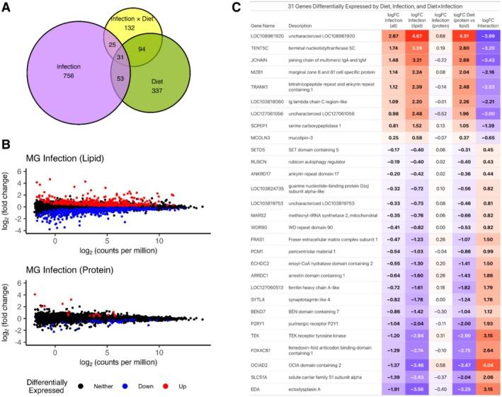 https://cdn.ncbi.nlm.nih.gov/pmc/blobs/8ac9/12143370/bfacb6455f31/MEC-34-e17793-g002.jpg