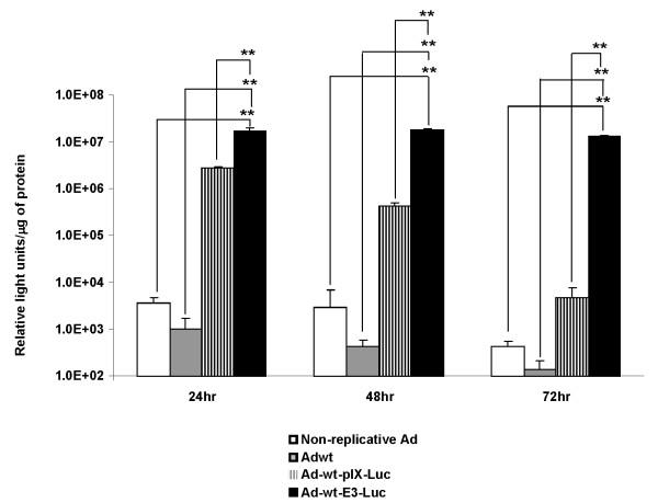 https://cdn.ncbi.nlm.nih.gov/pmc/blobs/8aca/2824641/6408237d9a78/1743-422X-7-21-5.jpg