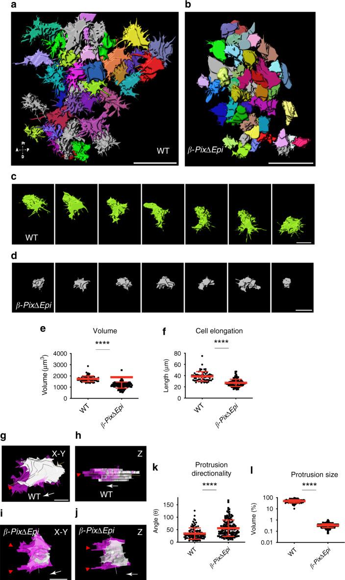 https://cdn.ncbi.nlm.nih.gov/pmc/blobs/8aca/7695707/1d01a3d7e82b/41467_2020_19889_Fig5_HTML.jpg