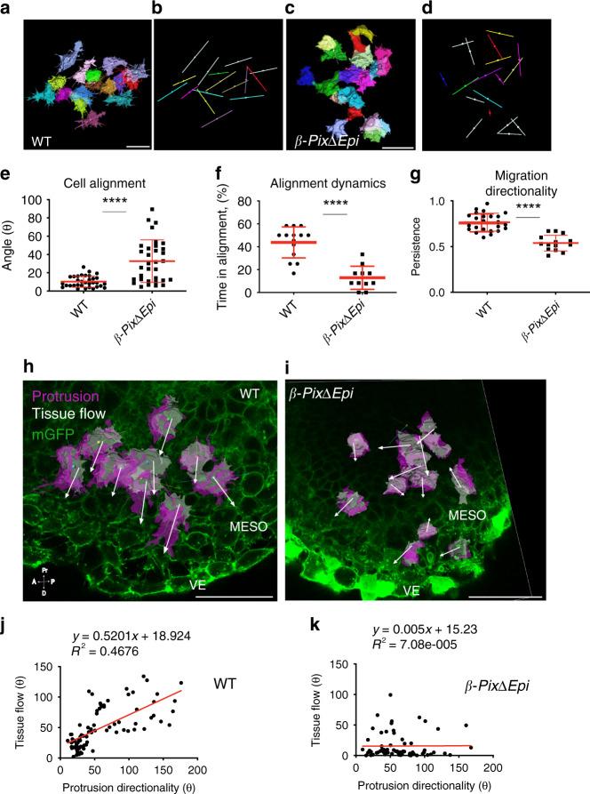 https://cdn.ncbi.nlm.nih.gov/pmc/blobs/8aca/7695707/7e8a0f1a5310/41467_2020_19889_Fig6_HTML.jpg