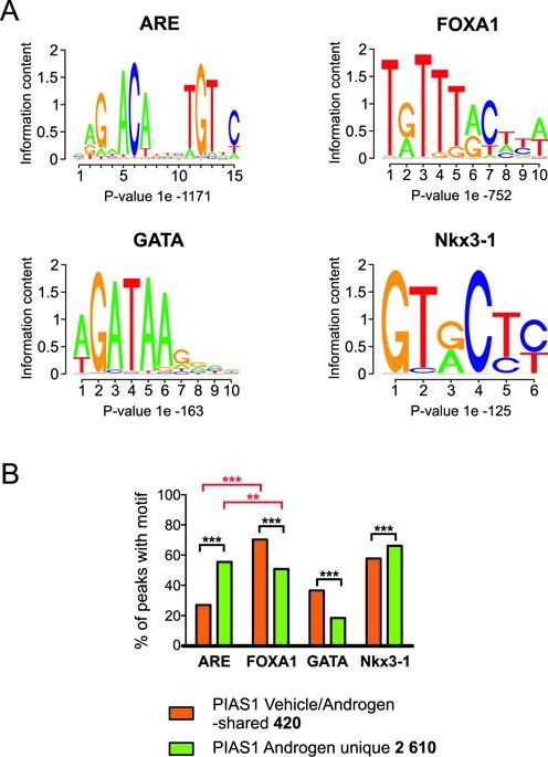 https://cdn.ncbi.nlm.nih.gov/pmc/blobs/8acb/4333416/5e78559b1eac/gku1375fig4.jpg