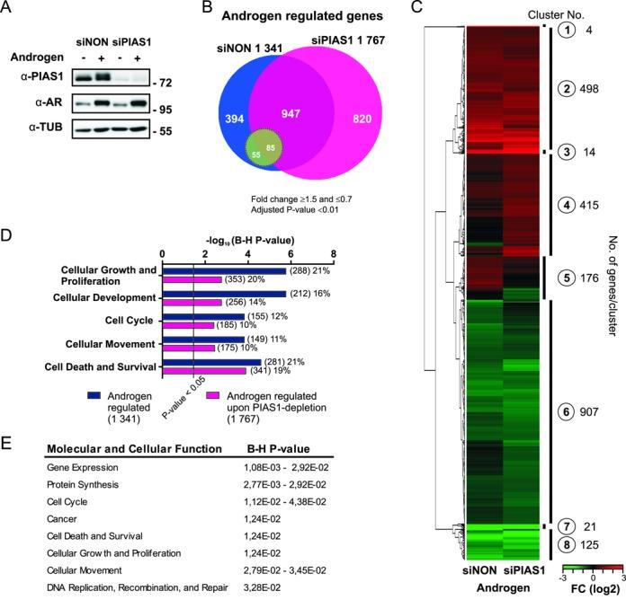 https://cdn.ncbi.nlm.nih.gov/pmc/blobs/8acb/4333416/93e8ac3b816e/gku1375fig1.jpg