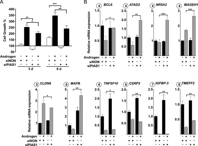https://cdn.ncbi.nlm.nih.gov/pmc/blobs/8acb/4333416/b05483721ab3/gku1375fig2.jpg