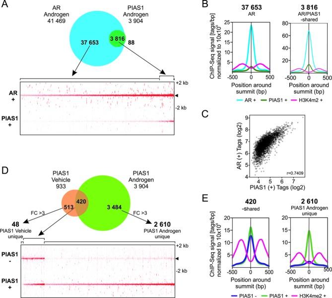 https://cdn.ncbi.nlm.nih.gov/pmc/blobs/8acb/4333416/bd7271965fc5/gku1375fig3.jpg