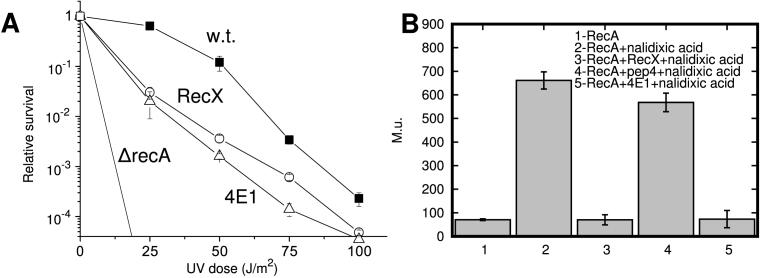 https://cdn.ncbi.nlm.nih.gov/pmc/blobs/8acf/5766188/21c5a99480bd/gkx687fig6.jpg