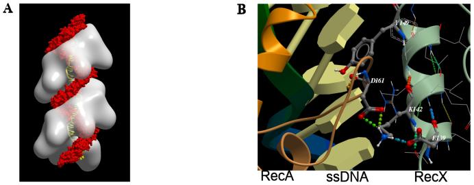 https://cdn.ncbi.nlm.nih.gov/pmc/blobs/8acf/5766188/5878214d5826/gkx687fig1.jpg