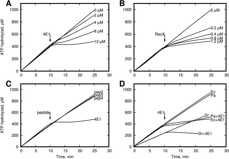 https://cdn.ncbi.nlm.nih.gov/pmc/blobs/8acf/5766188/a5322c38cabc/gkx687fig3.jpg