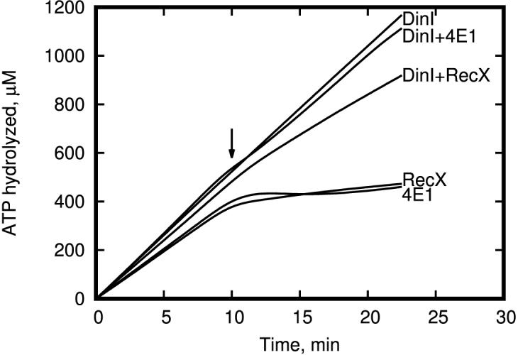 https://cdn.ncbi.nlm.nih.gov/pmc/blobs/8acf/5766188/dcbeb540aa25/gkx687fig4.jpg