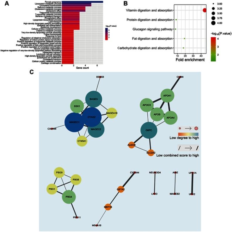 https://cdn.ncbi.nlm.nih.gov/pmc/blobs/8ad1/6535430/dbf56c192da9/OTT-12-3991-g0002.jpg