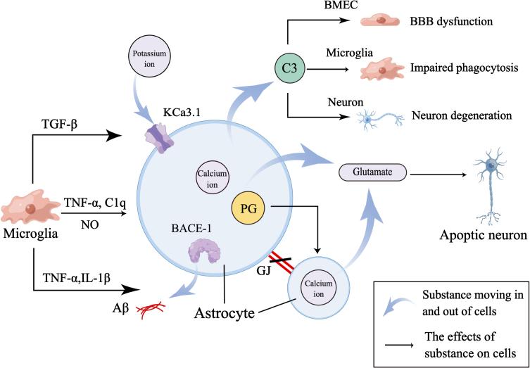 https://cdn.ncbi.nlm.nih.gov/pmc/blobs/8ad2/10473143/629254bcf850/jad-94-jad221064-g003.jpg