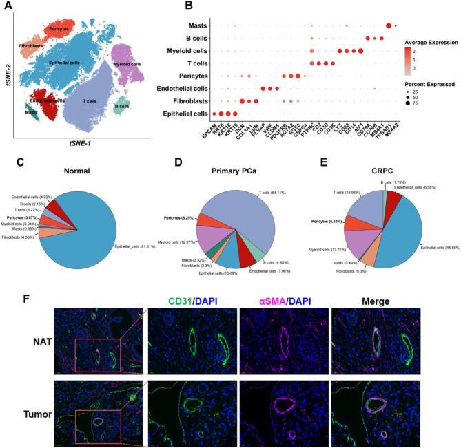 https://cdn.ncbi.nlm.nih.gov/pmc/blobs/8ad2/12135593/3a7b6b3881b4/12935_2025_3838_Fig1_HTML.jpg