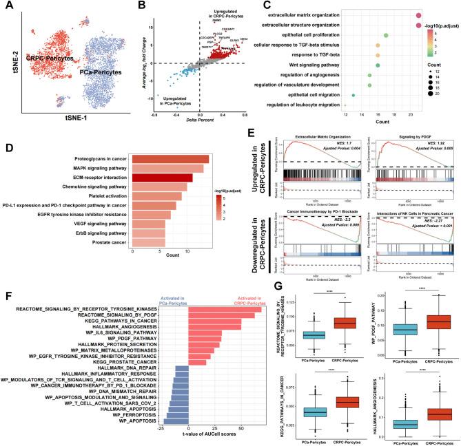 https://cdn.ncbi.nlm.nih.gov/pmc/blobs/8ad2/12135593/db9de459766b/12935_2025_3838_Fig3_HTML.jpg