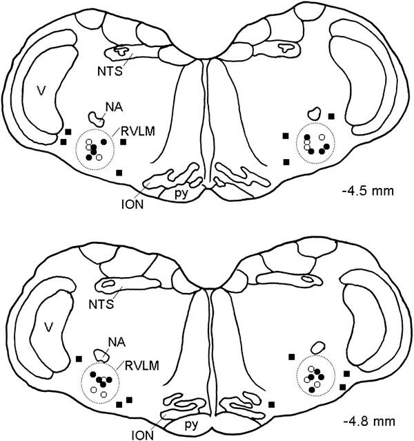 https://cdn.ncbi.nlm.nih.gov/pmc/blobs/8ad3/3438069/fa9a6c809e36/1423-0127-19-76-6.jpg