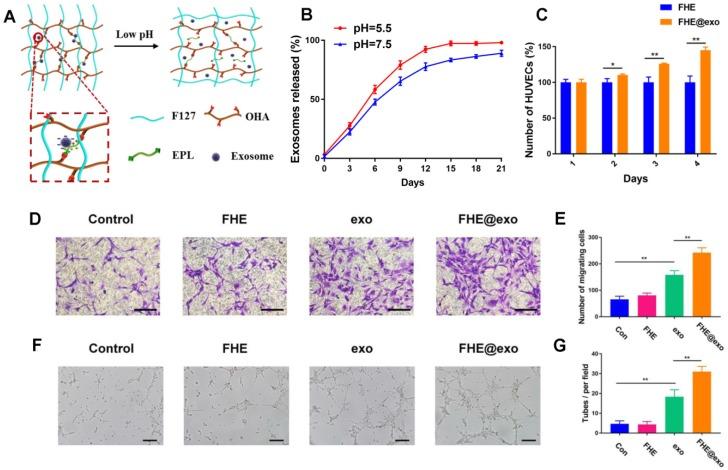 https://cdn.ncbi.nlm.nih.gov/pmc/blobs/8ad5/6332800/2213fc9ba6a9/thnov09p0065g004.jpg