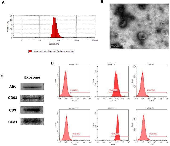 https://cdn.ncbi.nlm.nih.gov/pmc/blobs/8ad5/6332800/46e25cafd3ed/thnov09p0065g003.jpg