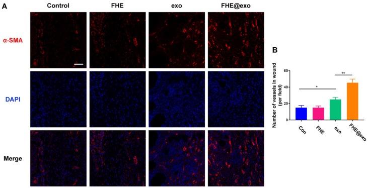 https://cdn.ncbi.nlm.nih.gov/pmc/blobs/8ad5/6332800/6fb9aa41fb8c/thnov09p0065g007.jpg