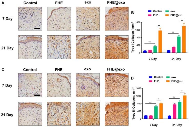 https://cdn.ncbi.nlm.nih.gov/pmc/blobs/8ad5/6332800/716780fdd258/thnov09p0065g006.jpg